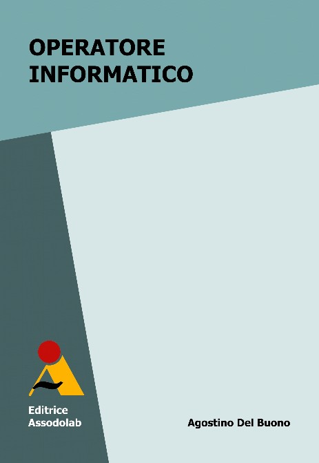 Operatore informatico